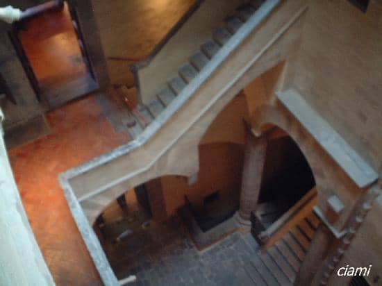 Lace and Needlepoint Collection