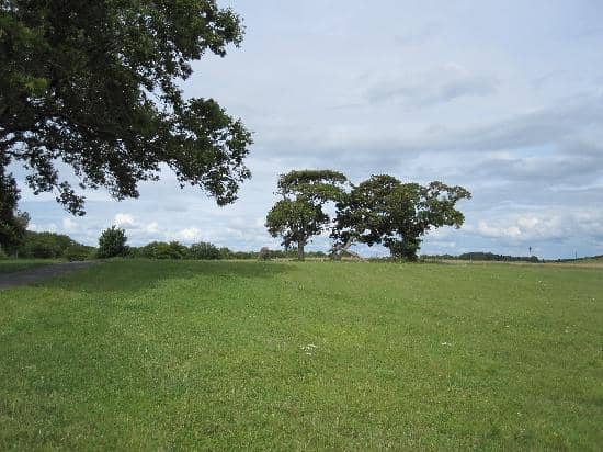 Fairy Trail Adventure