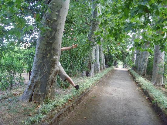 Archaeological Insights