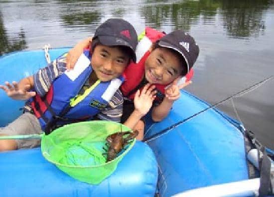 Moloto the Screech Owl