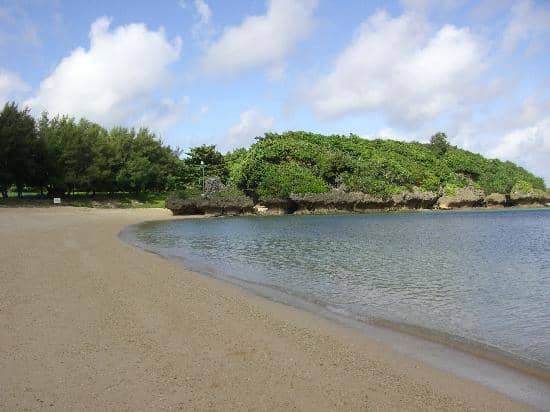 Diving with Multiple Sharks