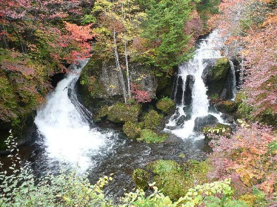 Autumn Foliage Spectacle