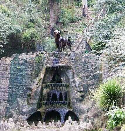 Bodega Cerro del Toro