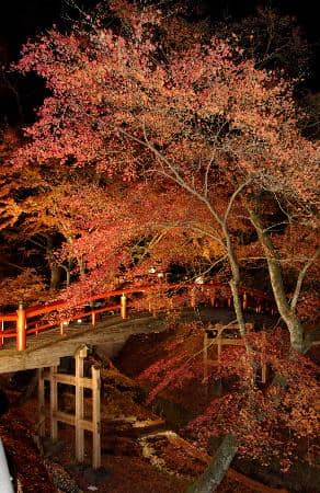 Kogane-no-Yu Hot Springs