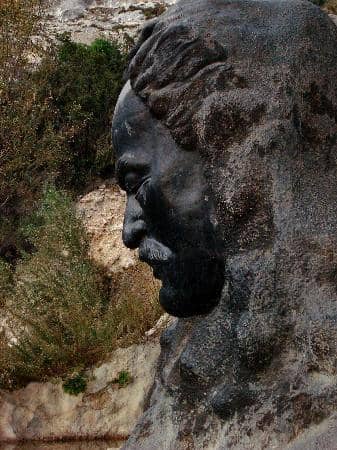 Lush Greenery and Trees