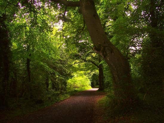 Lakeside Walks and Victorian Gardens