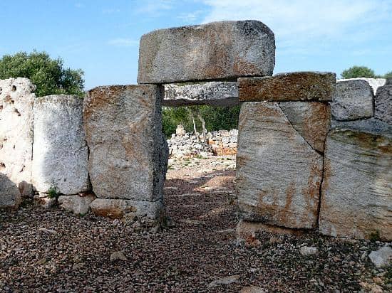 Water Collection System