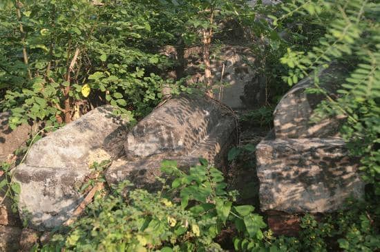 A Symbol of Resilience