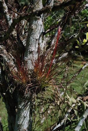 Informative Self-Guided Booklet