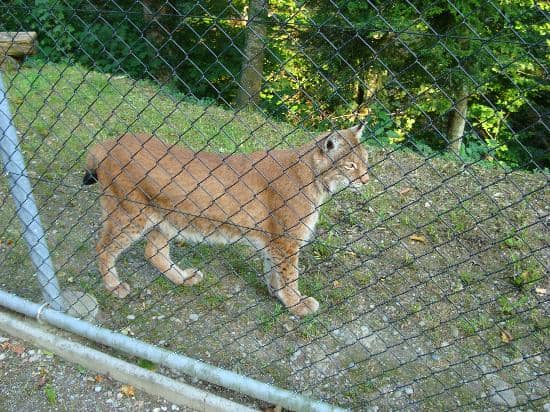 Children's Playground