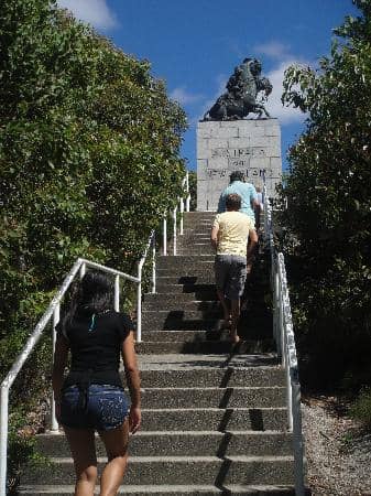 Panoramic Coastal Views