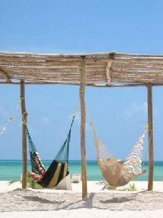 Kayaking & Paddle Boarding