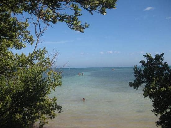 Shallow, Calm Waters