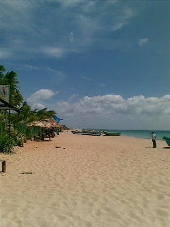 Local Fishing Traditions