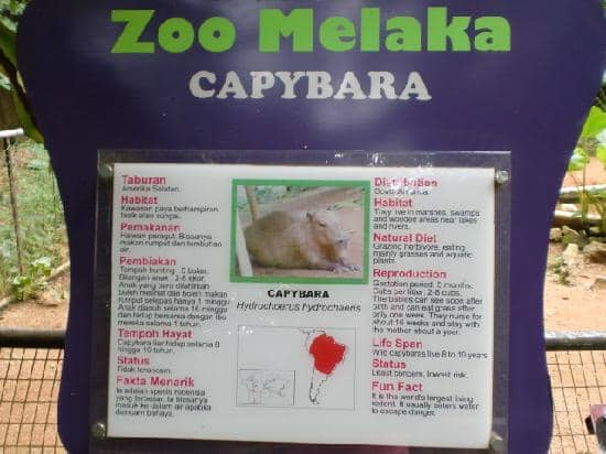 Dinosaur Encounter Park