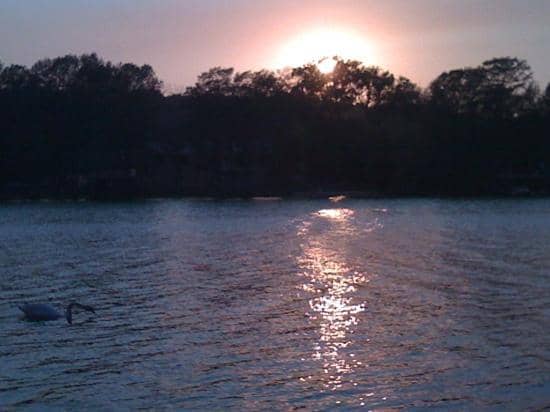 Scenic Hiking Trails