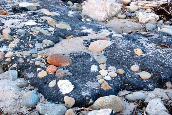 Ocean Views & Trails