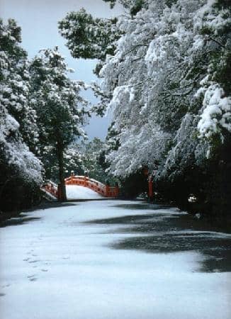 Grand Torii Gates
