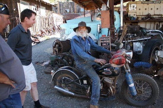 Friendly Farm Animals