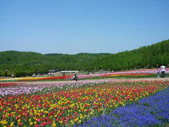 Children's Play Areas