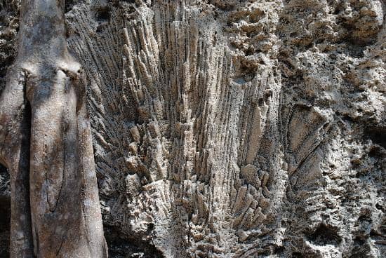 Overseas Railroad History