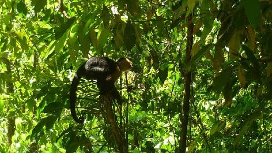 Parque Nahomi Sunset