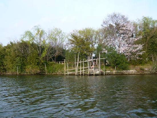 The Friendly Ferryman