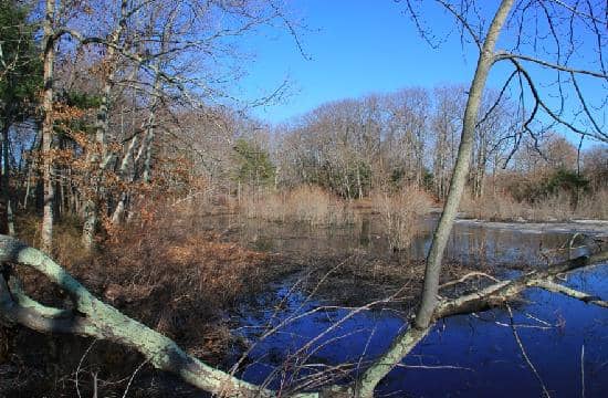 Informational Plaques
