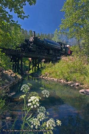 Scenic Black Hills Views