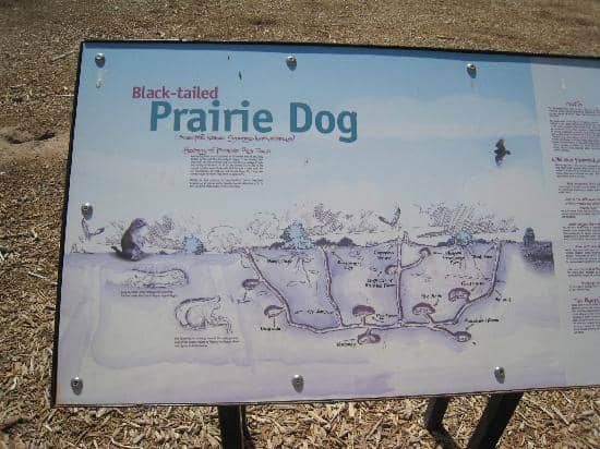 Interpretive Signage