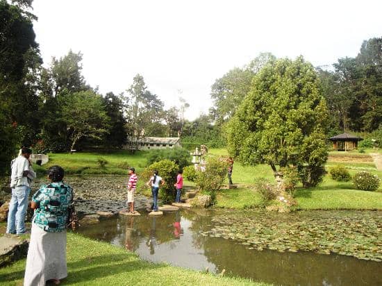 Children's Play Area