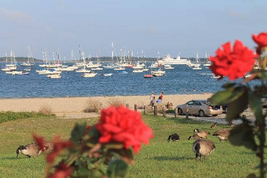 Kennedy's Profile Bust