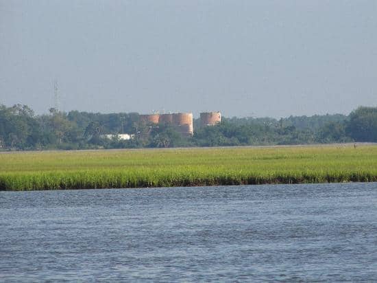 Birdwatching Haven