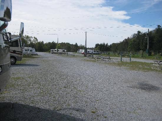 Seasonal Aquatic Fun