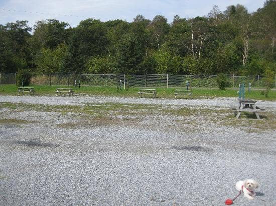 Extensive Trail Network