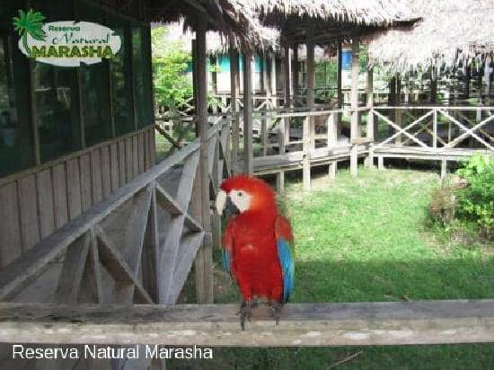 Artisanal Fishing & Local Flavors