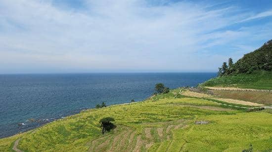 Seasonal Illuminations