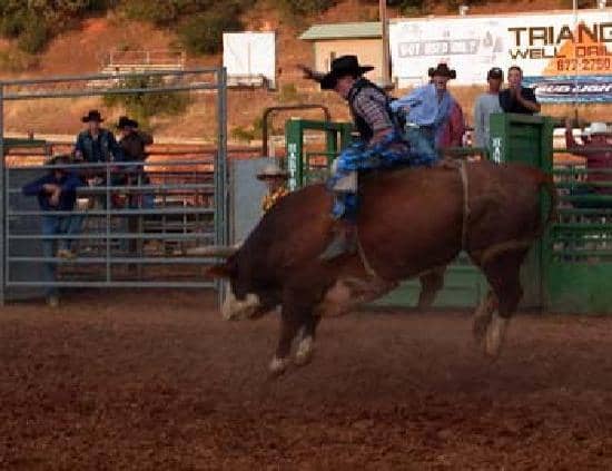 Community Gatherings