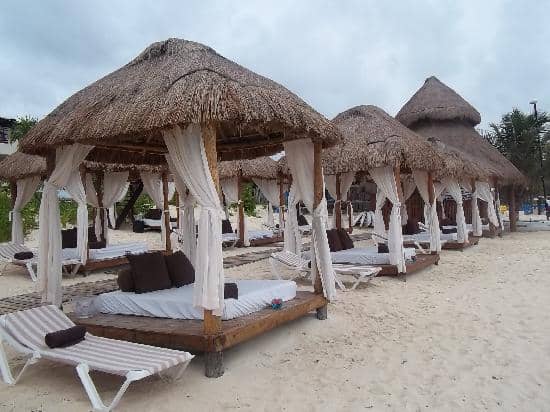 Beachfront Loungers