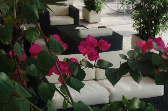 Sulfur Spring Meets Sea