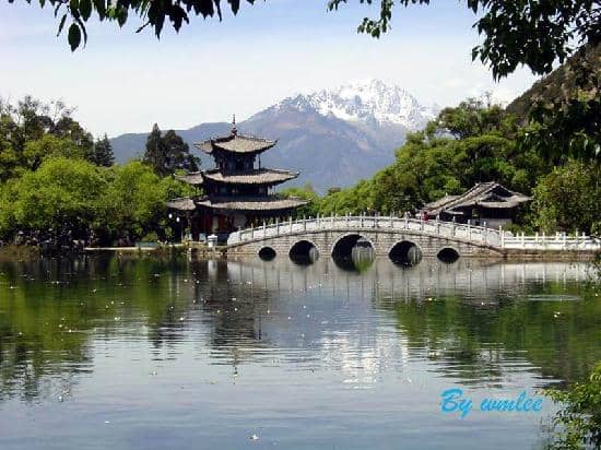 Major Stone Forest Scenic Area