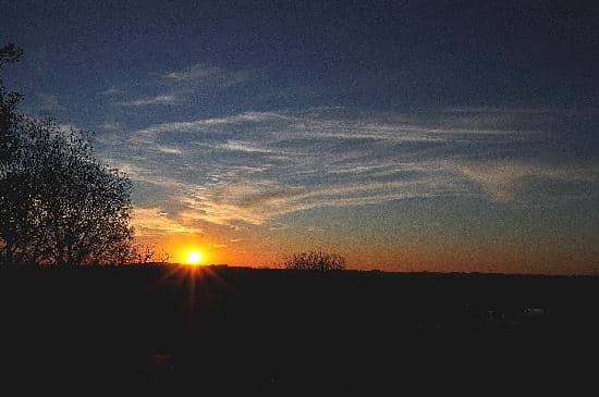 Go Ape Zipline & Adventure Park