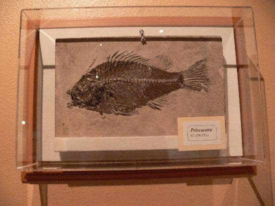 Cowboy State Heritage