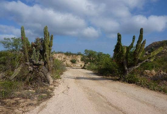 Shell and Sea Creature Hunting
