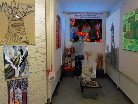 Playful Dinosaur Area