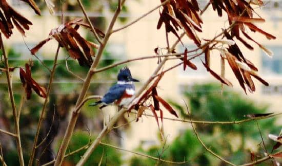 Interactive Exhibits