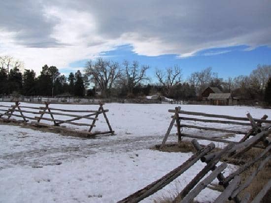 Farm Animals & Blacksmith
