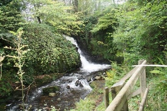 Scenic Walking Paths