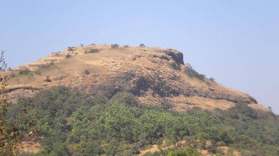 Monsoon Mist & Greenery