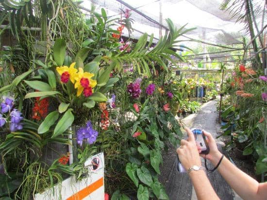 Photography Opportunities